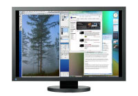 Eizo SX3031W (SX3031WH-BK) Eizo SX3031W (SX3031WH-BK)